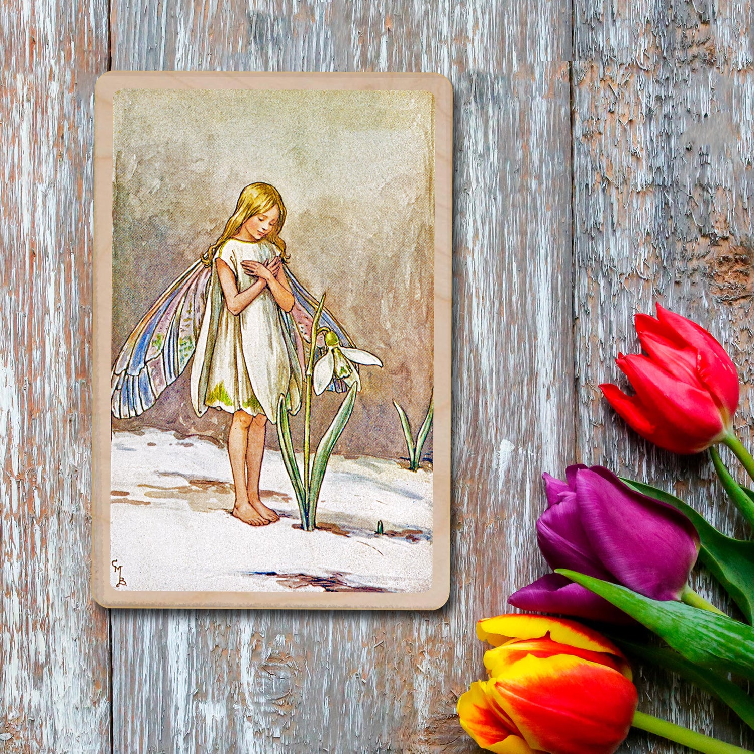 SPRING FLOWER FAIRIES