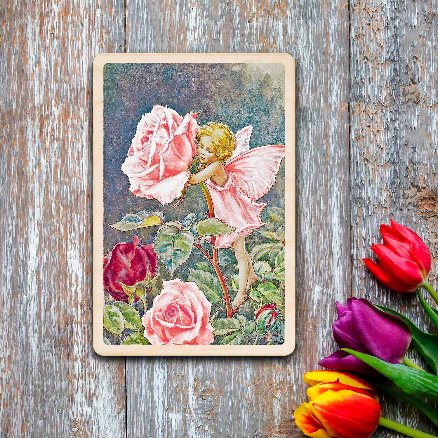 GARDEN FLOWER FAIRIES